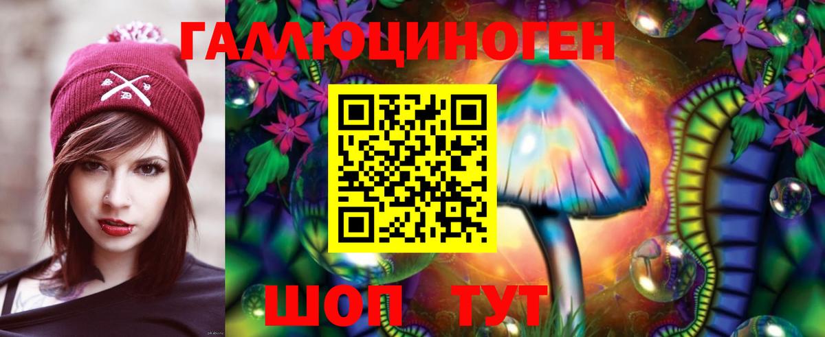 Ейск  Псилоцибиновые грибы Psilocybine cubensis  Вход с VPN  Псилоцибиновые грибы мухоморы 