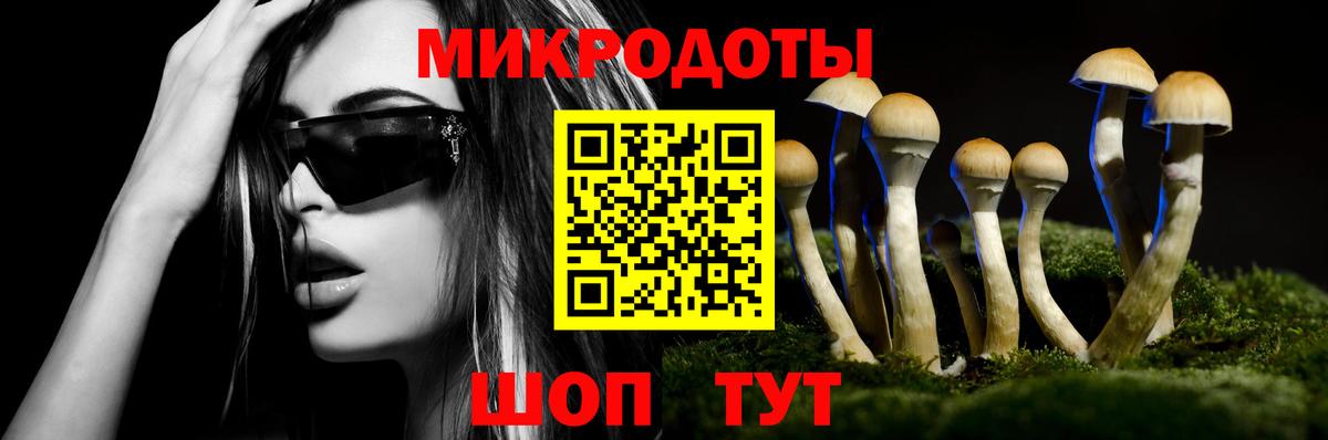 Псилоцибиновые грибы GOLDEN TEACHER Ейск